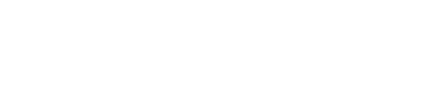 Q-Dev Engine